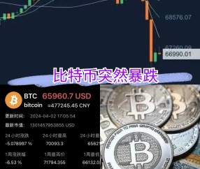九游体育官方-比特币投资骗局被揭发，已有超450人被骗！