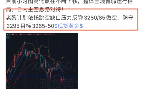 九游体育-SEC遭遇大幅下滑超242%，投资者恐慌性抛售的简单介绍