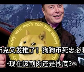 九游体育官方-马斯克再次发推，AVAX瞬间上飙升252%，引爆行情
