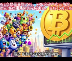 九游体育下载-XRP冲破SHIB美元大关，牛市是否已来临？