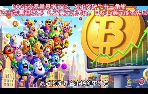 九游体育下载-XRP冲破SHIB美元大关，牛市是否已来临？