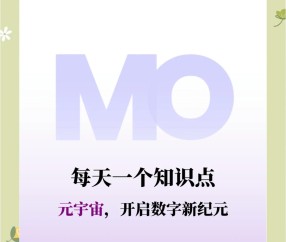 九游体育下载-TON官宣与15.98携手，开启元宇宙新纪元！