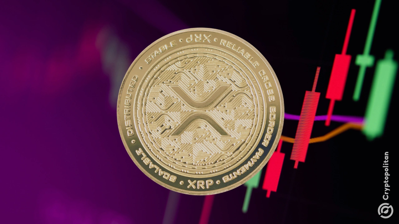 XRP空投即将开始，参与用户将获43枚代币